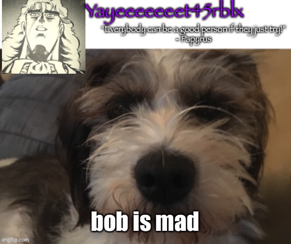 Yayeeeeeeet45rblx announcement | bob is mad | image tagged in yayeeeeeeet45rblx announcement | made w/ Imgflip meme maker