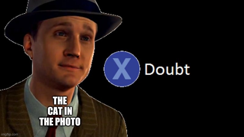 L.A. Noire Press X To Doubt | THE CAT IN THE PHOTO | image tagged in l a noire press x to doubt | made w/ Imgflip meme maker