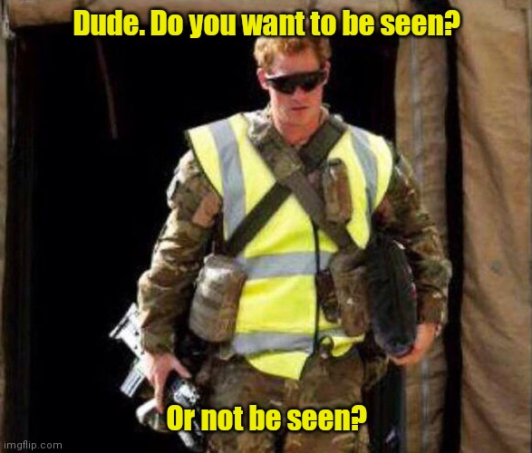 Government issued. | Dude. Do you want to be seen? Or not be seen? | image tagged in camouflage,funny | made w/ Imgflip meme maker