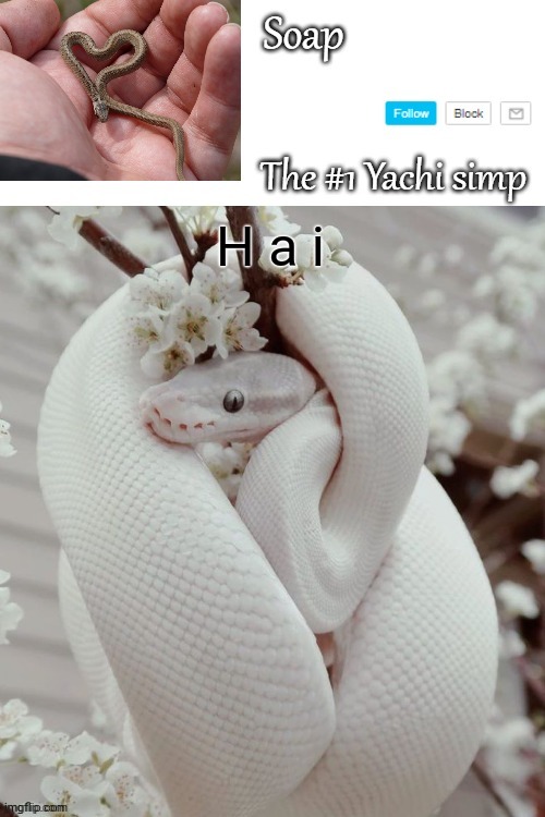 H a i | image tagged in soap snake temp ty yachi | made w/ Imgflip meme maker