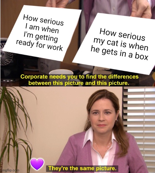 It is with no pleasure that I get in this box... I am merely duty bound. | How serious I am when I'm getting ready for work; How serious my cat is when he gets in a box; 💜 | image tagged in memes,they're the same picture,cats,cute cat,business cat | made w/ Imgflip meme maker