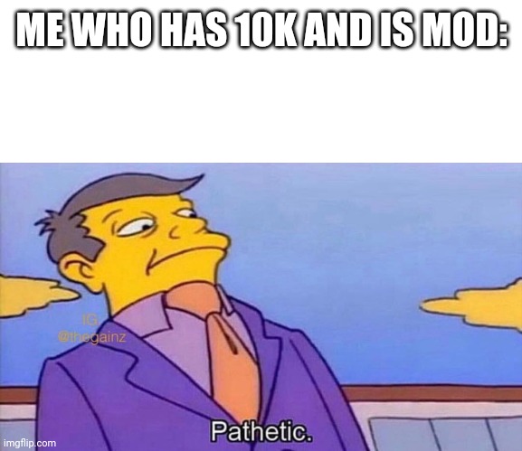 Pathetic | ME WHO HAS 10K AND IS MOD: | image tagged in pathetic | made w/ Imgflip meme maker