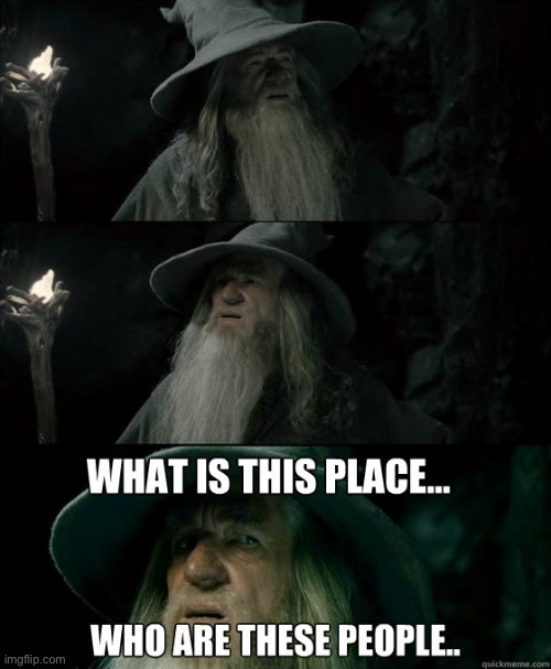 what is this place | image tagged in what is this place | made w/ Imgflip meme maker