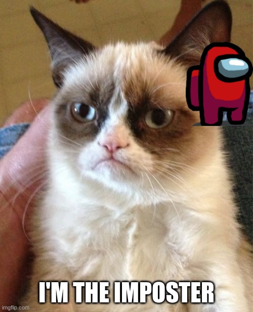 Grumpy Cat | I'M THE IMPOSTER | image tagged in memes,grumpy cat | made w/ Imgflip meme maker