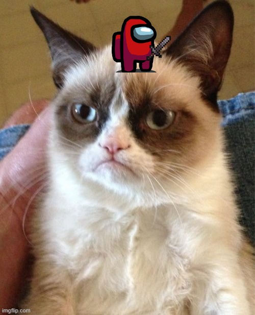 Grumpy Cat Meme | image tagged in memes,grumpy cat | made w/ Imgflip meme maker