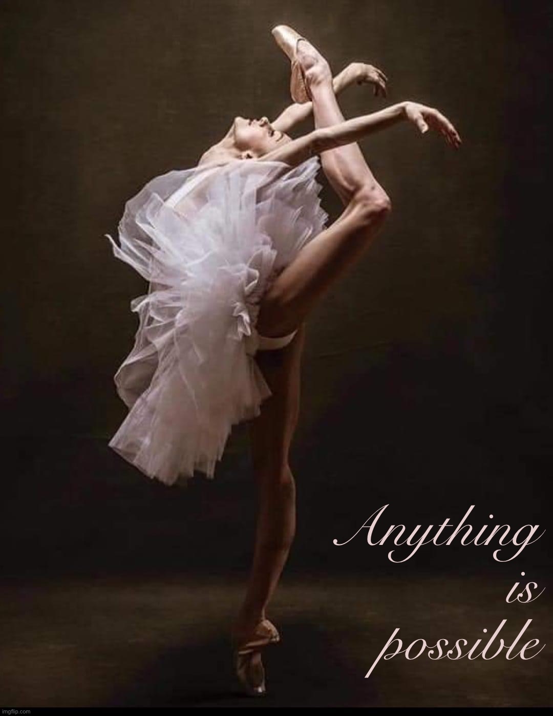 Impressive Dancer | Anything is possible | image tagged in impressive dancer | made w/ Imgflip meme maker