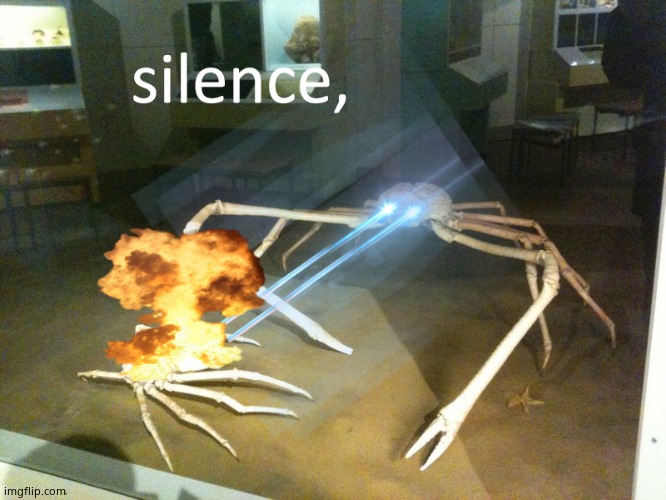 silence | image tagged in silence | made w/ Imgflip meme maker