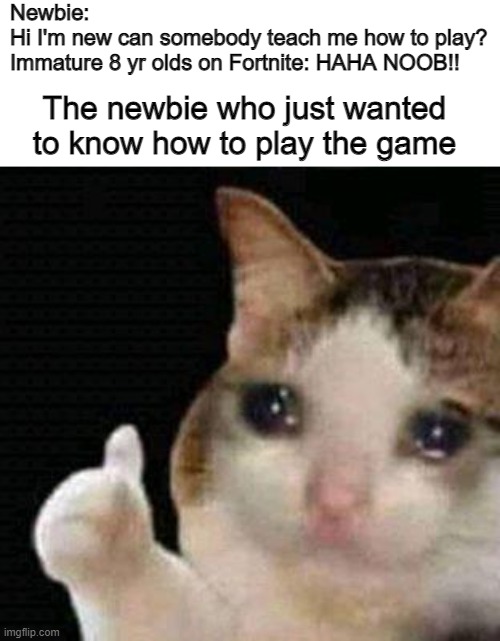 Thumbs up Crying Cat | Newbie: 
Hi I'm new can somebody teach me how to play?
Immature 8 yr olds on Fortnite: HAHA NOOB!! The newbie who just wanted to know how to play the game | image tagged in thumbs up crying cat,fortnite,gaming,memes,funny memes,funny | made w/ Imgflip meme maker