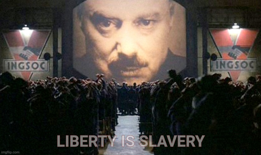 Big Brother IngSoc | LIBERTY IS SLAVERY | image tagged in big brother ingsoc | made w/ Imgflip meme maker