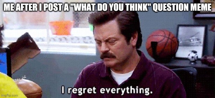 I regret | ME AFTER I POST A "WHAT DO YOU THINK" QUESTION MEME | image tagged in i regret | made w/ Imgflip meme maker