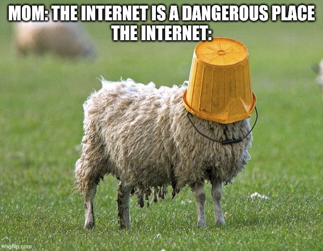 stupid sheep | MOM: THE INTERNET IS A DANGEROUS PLACE
THE INTERNET: | image tagged in stupid sheep | made w/ Imgflip meme maker
