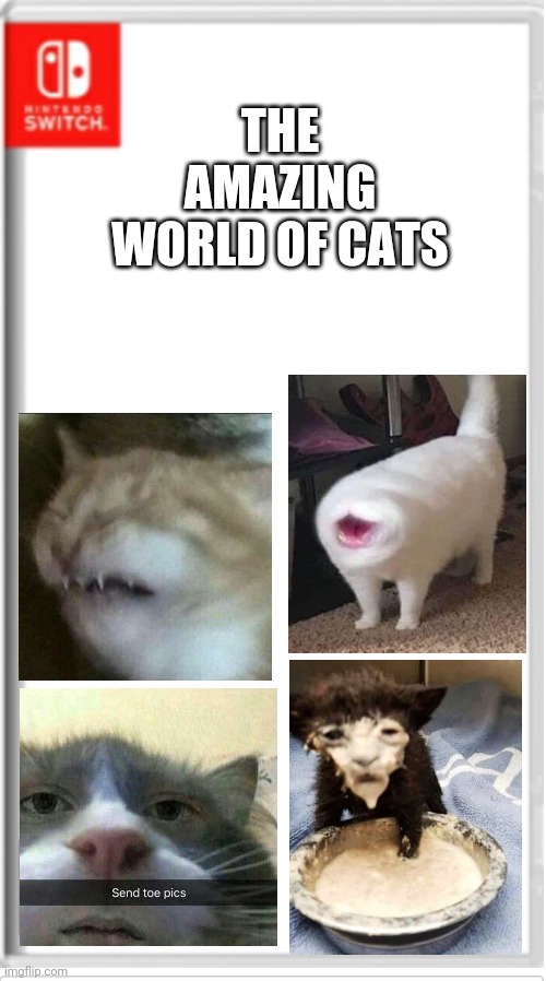 Send toe pics lmao | THE AMAZING WORLD OF CATS | image tagged in blank switch game | made w/ Imgflip meme maker