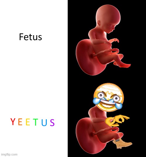 Yeetus the feetus | image tagged in yeetus the feetus | made w/ Imgflip meme maker