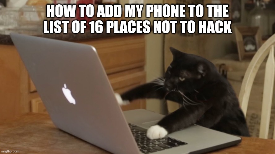 Furiously Typing Cat | HOW TO ADD MY PHONE TO THE LIST OF 16 PLACES NOT TO HACK | image tagged in furiously typing cat | made w/ Imgflip meme maker