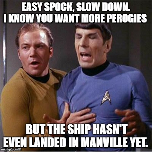 Manville Perogi |  EASY SPOCK, SLOW DOWN. I KNOW YOU WANT MORE PEROGIES; BUT THE SHIP HASN'T EVEN LANDED IN MANVILLE YET. | image tagged in manville,lisa payne,u r home realty,manvillestrong,nj | made w/ Imgflip meme maker
