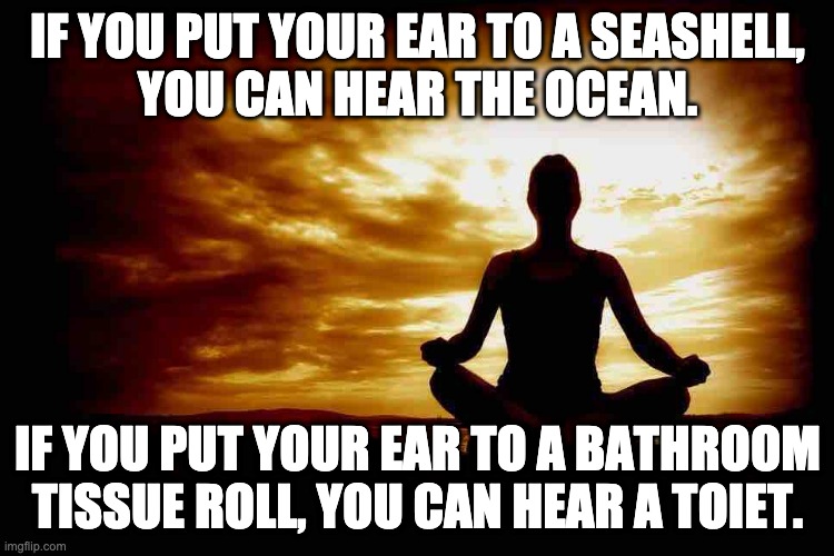 deep thoughts | IF YOU PUT YOUR EAR TO A SEASHELL,
YOU CAN HEAR THE OCEAN. IF YOU PUT YOUR EAR TO A BATHROOM TISSUE ROLL, YOU CAN HEAR A TOIET. | image tagged in a few zen thoughts for those who take life too seriously | made w/ Imgflip meme maker