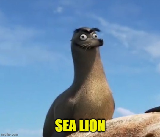 Gerald the Sea Lion | SEA LION | image tagged in gerald the sea lion | made w/ Imgflip meme maker