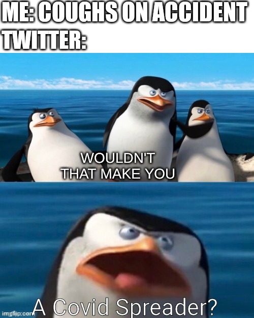 Twitter is so dang sensitive. | ME: COUGHS ON ACCIDENT; TWITTER:; A Covid Spreader? | image tagged in wouldn't that make you blank | made w/ Imgflip meme maker
