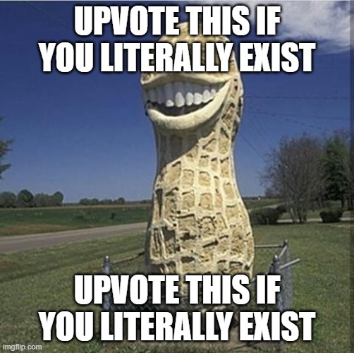 upvote this if you literally exist | UPVOTE THIS IF YOU LITERALLY EXIST; UPVOTE THIS IF YOU LITERALLY EXIST | image tagged in upvote this if you literally exist | made w/ Imgflip meme maker