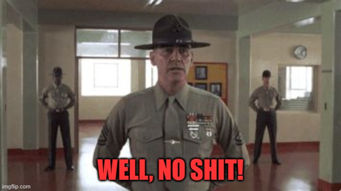 gunny hartman | WELL, NO SHIT! | image tagged in gunny hartman | made w/ Imgflip meme maker