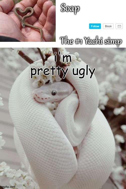 h a h a yachi dared me to say she's pretty ugly but her wording left a loophole soooo | i'm pretty ugly | image tagged in soap snake temp ty yachi | made w/ Imgflip meme maker