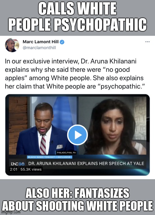 Diversity is our strength!!!! If you don't want open borders so people that hate us can't immigrate, you are the hateful bigot | CALLS WHITE PEOPLE PSYCHOPATHIC; ALSO HER: FANTASIZES ABOUT SHOOTING WHITE PEOPLE | image tagged in butthurt liberals,racism,big honker | made w/ Imgflip meme maker