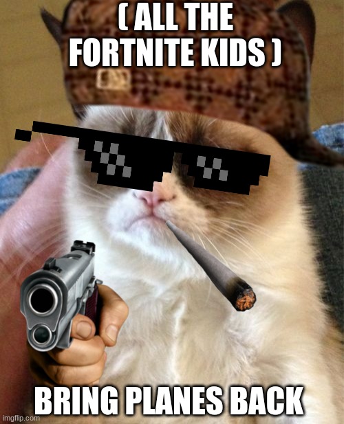 Grumpy Cat Meme | ( ALL THE FORTNITE KIDS ); BRING PLANES BACK | image tagged in memes,grumpy cat | made w/ Imgflip meme maker