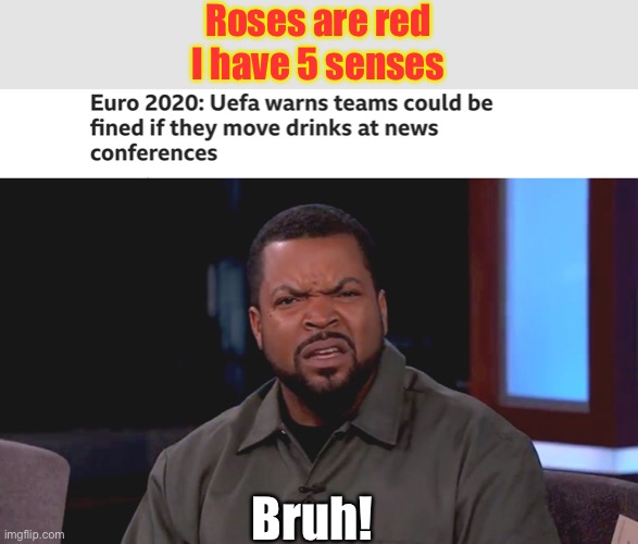 Bruh moment right there. | Roses are red
I have 5 senses; Bruh! | image tagged in bruh,bruh moment,euro 2020,football,memes | made w/ Imgflip meme maker