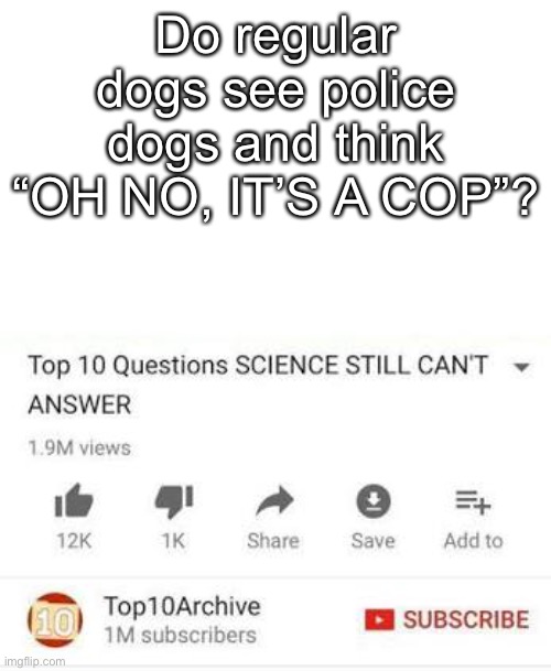 Top 10 questions Science still can't answer | Do regular dogs see police dogs and think “OH NO, IT’S A COP”? | image tagged in top 10 questions science still can't answer | made w/ Imgflip meme maker