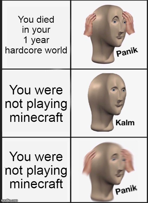 Panik Kalm Panik | You died in your 1 year hardcore world; You were not playing minecraft; You were not playing minecraft | image tagged in memes,panik kalm panik | made w/ Imgflip meme maker