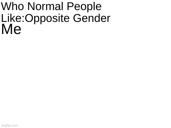 Who Normal People Like | Who Normal People Like:Opposite Gender; Me | image tagged in blank white template | made w/ Imgflip meme maker