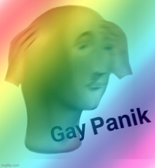 What do you think about this template | image tagged in gay panik | made w/ Imgflip meme maker