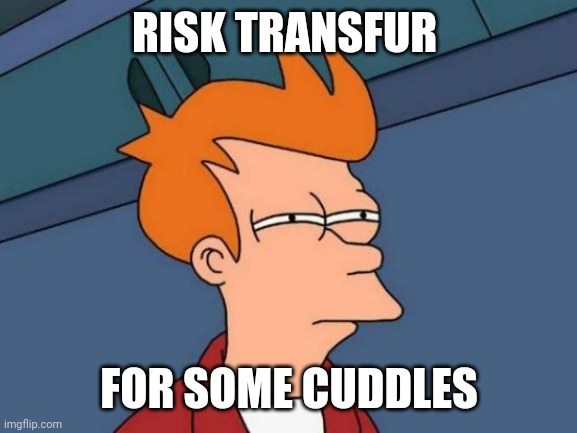 Futurama Fry Meme | RISK TRANSFUR FOR SOME CUDDLES | image tagged in memes,futurama fry | made w/ Imgflip meme maker