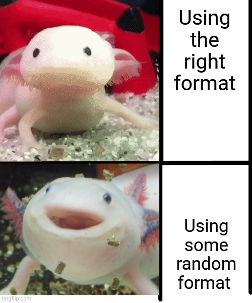 Monecraft | Using the right format; Using some random format | image tagged in annoyed axolotl | made w/ Imgflip meme maker