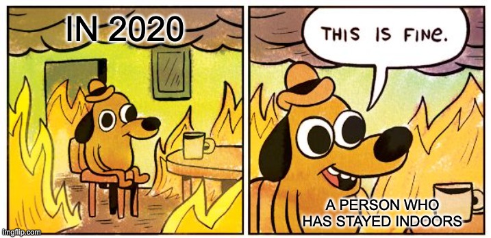 W H A T | IN 2020; A PERSON WHO HAS STAYED INDOORS | image tagged in memes,this is fine | made w/ Imgflip meme maker