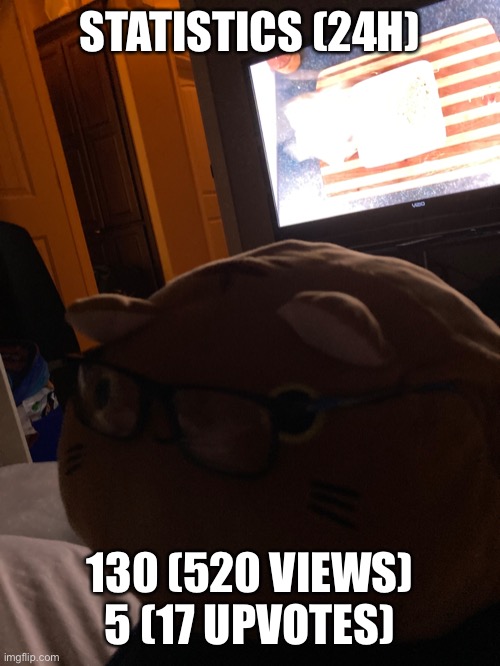 Statisticallerino Kitten | STATISTICS (24H); 130 (520 VIEWS) 5 (17 UPVOTES) | image tagged in meow | made w/ Imgflip meme maker