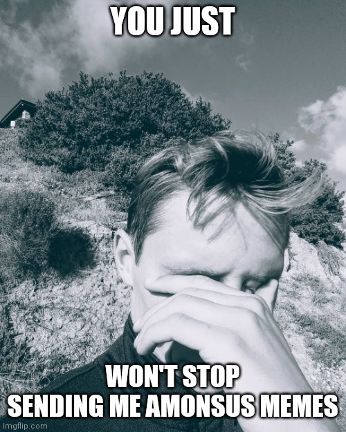 When Will It Stop? | YOU JUST; WON'T STOP SENDING ME AMONSUS MEMES | image tagged in stephen m green is disappointed,stephenmgreen,youtubers,actors,artists,2020 | made w/ Imgflip meme maker