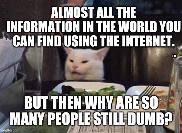 Salad cat | ALMOST ALL THE INFORMATION IN THE WORLD YOU CAN FIND USING THE INTERNET. J M; BUT THEN WHY ARE SO MANY PEOPLE STILL DUMB? | image tagged in salad cat | made w/ Imgflip meme maker