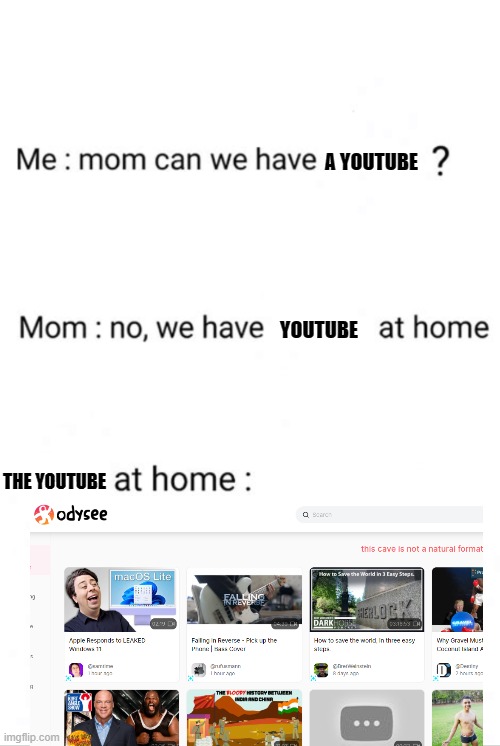 The Youtube at home | A YOUTUBE; YOUTUBE; THE YOUTUBE | image tagged in can we have no we have at home at home | made w/ Imgflip meme maker