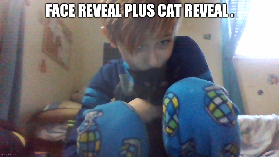meet my new kitten Luna | FACE REVEAL PLUS CAT REVEAL . | image tagged in cats | made w/ Imgflip meme maker