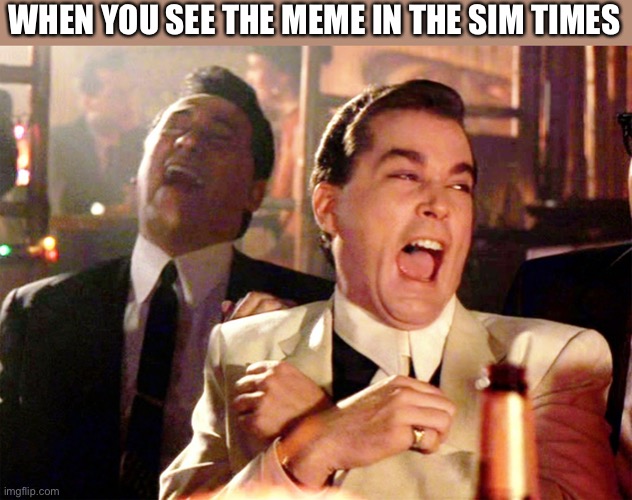 SimCo Meme #2 | WHEN YOU SEE THE MEME IN THE SIM TIMES | image tagged in memes,good fellas hilarious | made w/ Imgflip meme maker