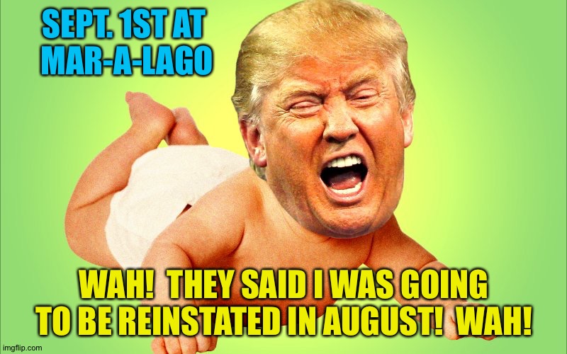 Hold your breath, Donny.  Maybe that'll work. | SEPT. 1ST AT 
MAR-A-LAGO; WAH!  THEY SAID I WAS GOING TO BE REINSTATED IN AUGUST!  WAH! | image tagged in cry baby trump | made w/ Imgflip meme maker