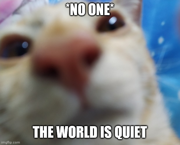 The world is quiet | *NO ONE*; THE WORLD IS QUIET | image tagged in lol | made w/ Imgflip meme maker