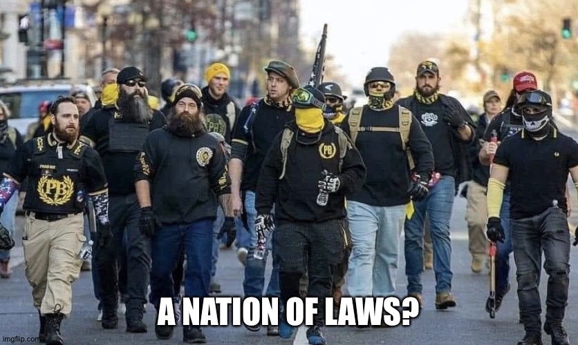 Trump capitol rioters | A NATION OF LAWS? | image tagged in trump capitol rioters | made w/ Imgflip meme maker