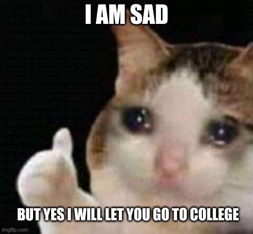 wait what COLLEGE? | I AM SAD; BUT YES I WILL LET YOU GO TO COLLEGE | image tagged in approved crying cat | made w/ Imgflip meme maker