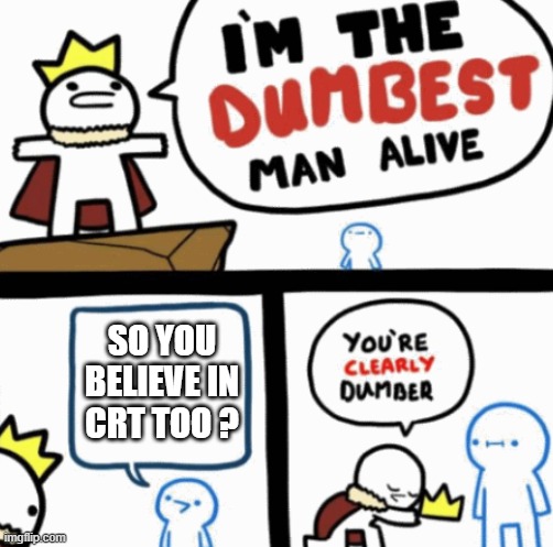 Dumbest man alive | SO YOU BELIEVE IN CRT TOO ? | image tagged in dumbest man alive | made w/ Imgflip meme maker