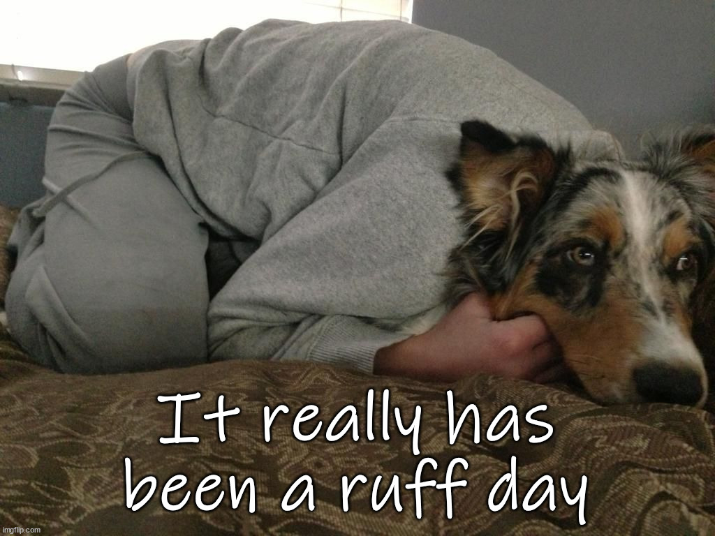 It really has been a ruff day | image tagged in dogs | made w/ Imgflip meme maker