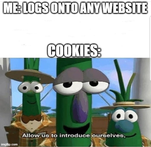 a mock meme | ME: LOGS ONTO ANY WEBSITE; COOKIES: | image tagged in allow us to introduce ourselves | made w/ Imgflip meme maker