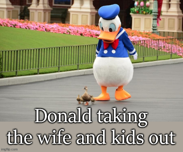 Donald taking the wife and kids out | image tagged in ducks | made w/ Imgflip meme maker