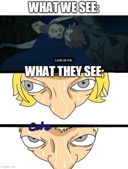 The face when they are serious | WHAT WE SEE:; WHAT THEY SEE; | image tagged in expectation vs reality,what they see,meme,anime | made w/ Imgflip meme maker